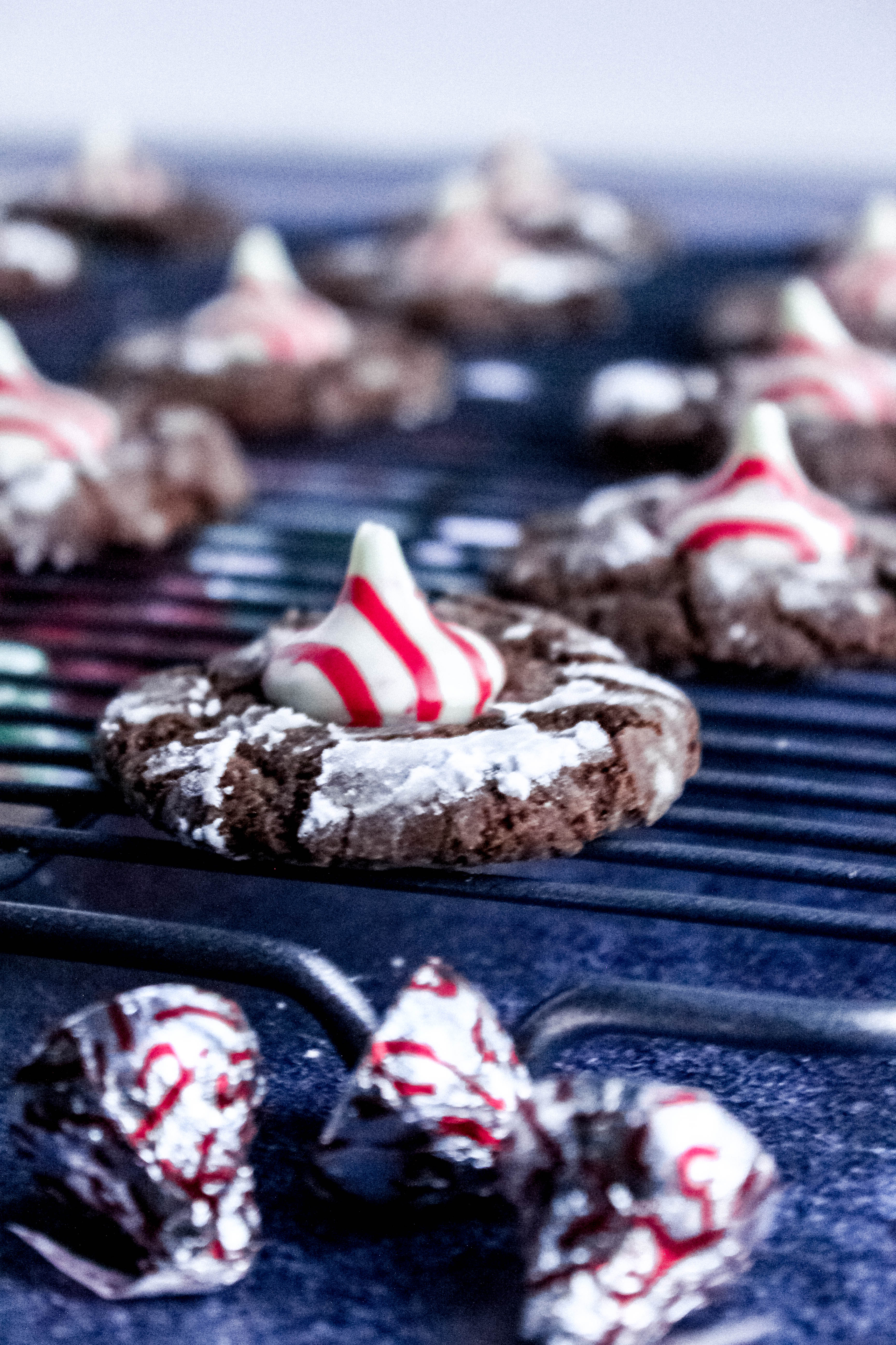 chocolate peppermint crinkle blossoms